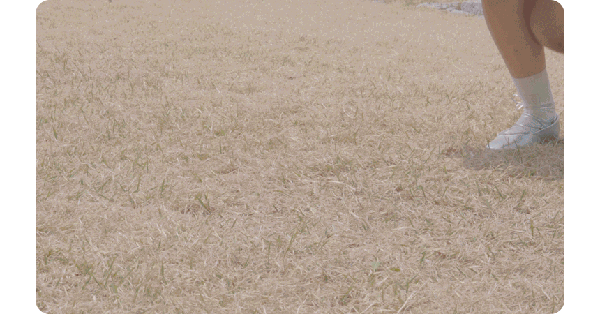 f982aaa6aa6569f8d05f88e5c7721149_1748232938_2832.gif